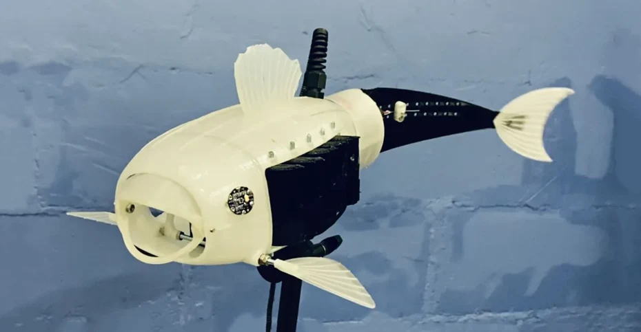 روبو، ماهی پلاستیکی برای خلاصی از شر زباله ها